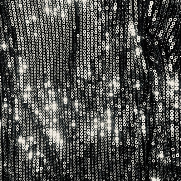 SALE🥂NEW TIMELESS SILVER SEQUIN PANTS-LEGGINGS - Picture 8 of 8